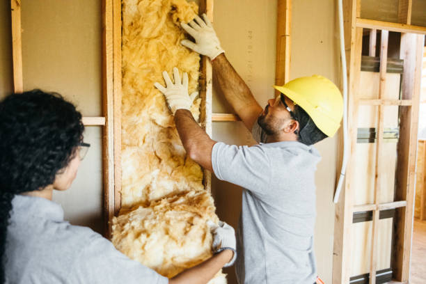 Best Wall Insulation Contractor  in Boyes Hot Springs, CA